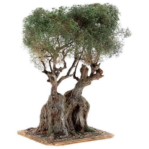 Realistic Olive Tree for Neapolitan Nativity Scene Wood Paper Mache, real H 20 cm 3