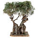 Realistic Olive Tree for Neapolitan Nativity Scene Wood Paper Mache, real H 20 cm s1