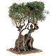 Realistic Olive Tree for Neapolitan Nativity Scene Wood Paper Mache, real H 20 cm s3