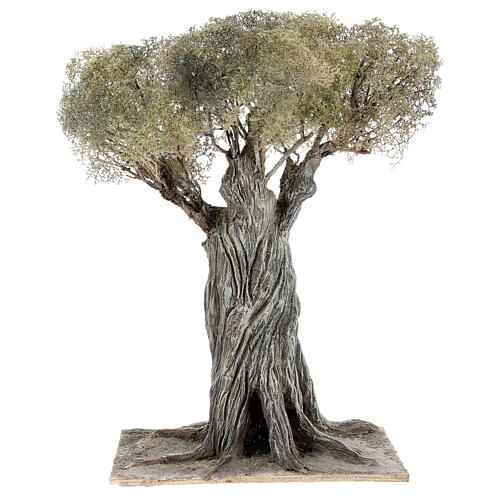 Olivenbaum, Krippenzubehör, neapolitanischer Stil, 30 cm, Papiermaché und Holz 1