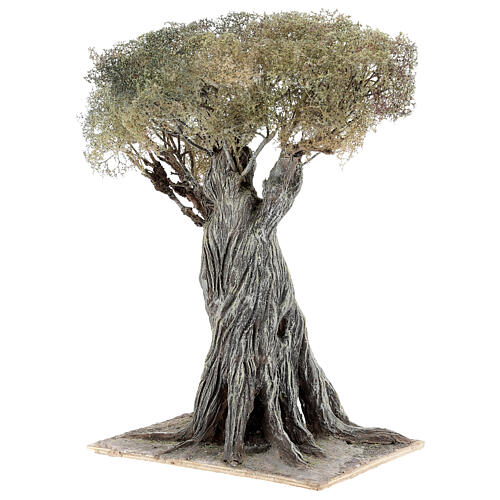 Olivenbaum, Krippenzubehör, neapolitanischer Stil, 30 cm, Papiermaché und Holz 2