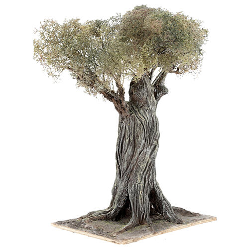 Olivenbaum, Krippenzubehör, neapolitanischer Stil, 30 cm, Papiermaché und Holz 3