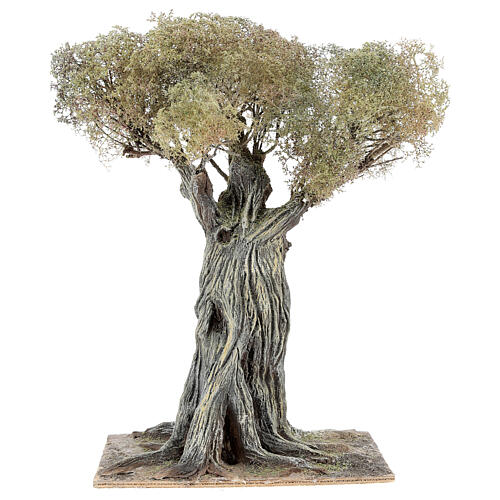 Olivenbaum, Krippenzubehör, neapolitanischer Stil, 30 cm, Papiermaché und Holz 4