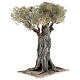 Árbol olivo belén napolitano 30 cm cartón piedra madera s3