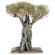 Árbol olivo belén napolitano 30 cm cartón piedra madera s4