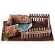 Pen for geese with pond for Nativity Scene with 10 cm charcters 5x20x15 cm s1