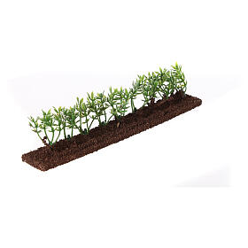 Green hedge 20x5x2 cm for Nativity Scene with 10 cm characters
