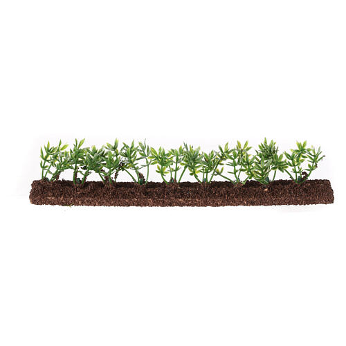 Green hedge 20x5x2 cm for Nativity Scene with 10 cm characters 4