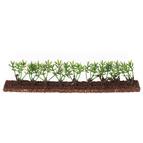 Siepe verde 20x5x2 cm presepe 10 cm