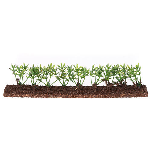 Siepe verde 20x5x2 cm presepe 10 cm 1