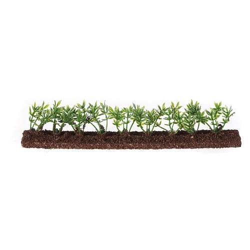 Siepe verde 20x5x2 cm presepe 10 cm 4