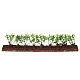 Siepe verde 20x5x2 cm presepe 10 cm s1