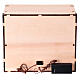 Nativity Box pastore nel boschetto pecore 20x25x20 cm presepe 6 cm s5