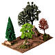 Sentiero di campagna con boschetto 20x25x15 cm presepe 6-8 cm s3