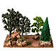 Sentiero di campagna con boschetto 20x25x15 cm presepe 6-8 cm s4