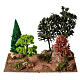 Caminho de terra com bosque 20x25x15 cm para presépio de 6-8 cm s1