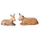 Presepe Altea colorato figure Aram 7 cm Valgardena 16 pezzi LED s7