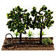 Sad owocowy drzewa cytrynowe szopka 6-8 cm 15x15x10 cm s4