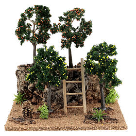 Agrumeto per presepe 20x15x20 cm