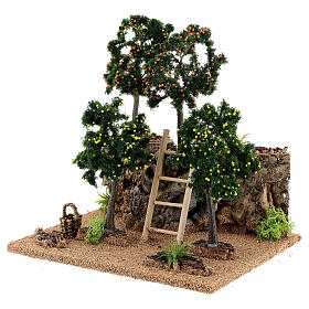 Agrumeto per presepe 20x15x20 cm