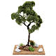 Miniature Elm tree h. 25 cm for nativity s1