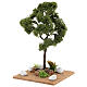 Miniature Elm tree h. 25 cm for nativity s2