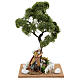 Miniature Elm tree h. 25 cm for nativity s5