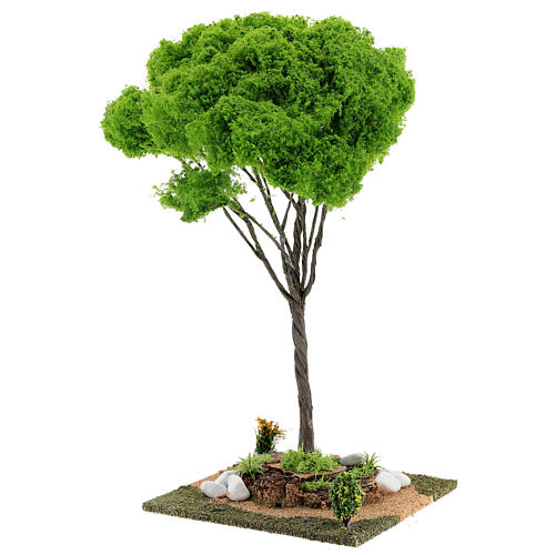 Miniature Maple tree for nativity 20x20x40 cm 2