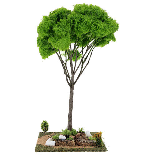 Miniature Maple tree for nativity 20x20x40 cm 4