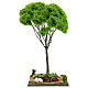 Miniature Maple tree for nativity 20x20x40 cm s1