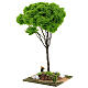Miniature Maple tree for nativity 20x20x40 cm s2
