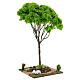 Miniature Maple tree for nativity 20x20x40 cm s3