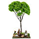 Miniature Maple tree for nativity 20x20x40 cm s5