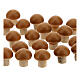 Mushrooms 24 pieces Nativity 8 cm s2