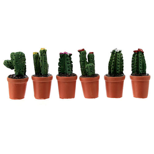 Wazon kaktus różne rodzaje, szopka 8 cm 1