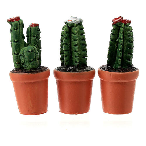 Wazon kaktus różne rodzaje, szopka 8 cm 3