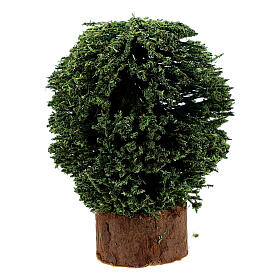 Arbustos em miniatura em vasos de madeira altura 5 cm para presépio com figuras altura média 8 cm, 4 unidades