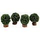 Arbustos em miniatura em vasos de madeira altura 5 cm para presépio com figuras altura média 8 cm, 4 unidades s1