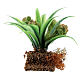 Planta alcachofera 6 cm belén miniatura 12-14 cm s3