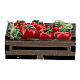 Tomatoes in box Nativity scene 14-16 cm s3