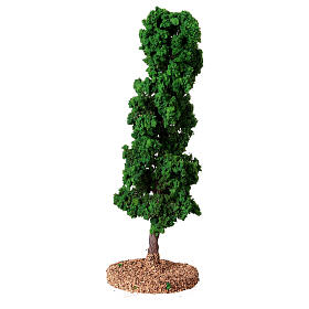 Pioppo  H 13 cm presepe 6 cm