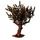 Tree with green leaves h 14 cm for Nativity Scene of 6 cm s1