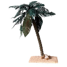 Palmeira sozinha natural h 18 cm para presépio de 8 cm