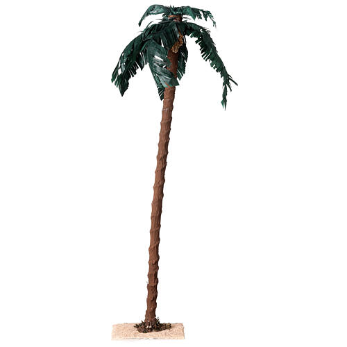 Single palm tree h 50 cm for Nativity Scene of 18-30 cm 2
