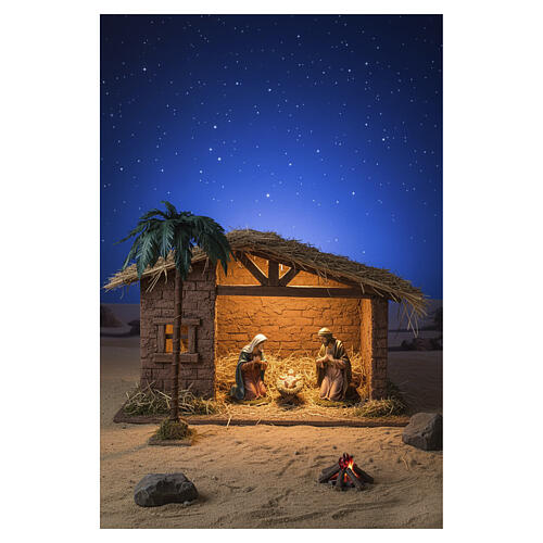 Palma singola altezza 50 cm presepe 18-30 cm 2