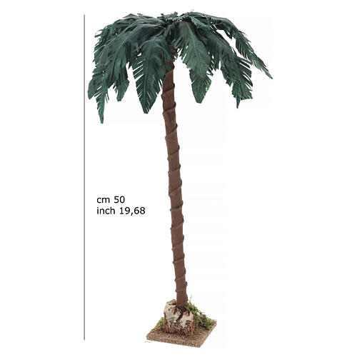 Palma singola altezza 50 cm presepe 18-30 cm 5