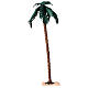 Palma singola altezza 50 cm presepe 18-30 cm s1
