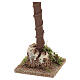Palma singola altezza 50 cm presepe 18-30 cm s4