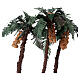 Palma triple belén H 30 cm con oasis s2