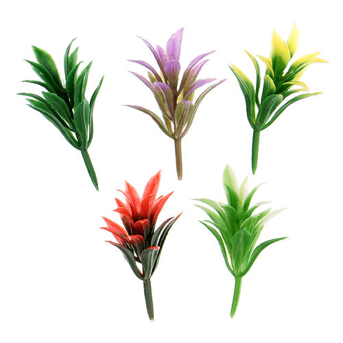 Set of 5 aloes for Nativity Scene of 10-12 cm 1